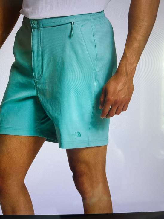 The North Face Other - North Face M C V Everthng Short Size 34